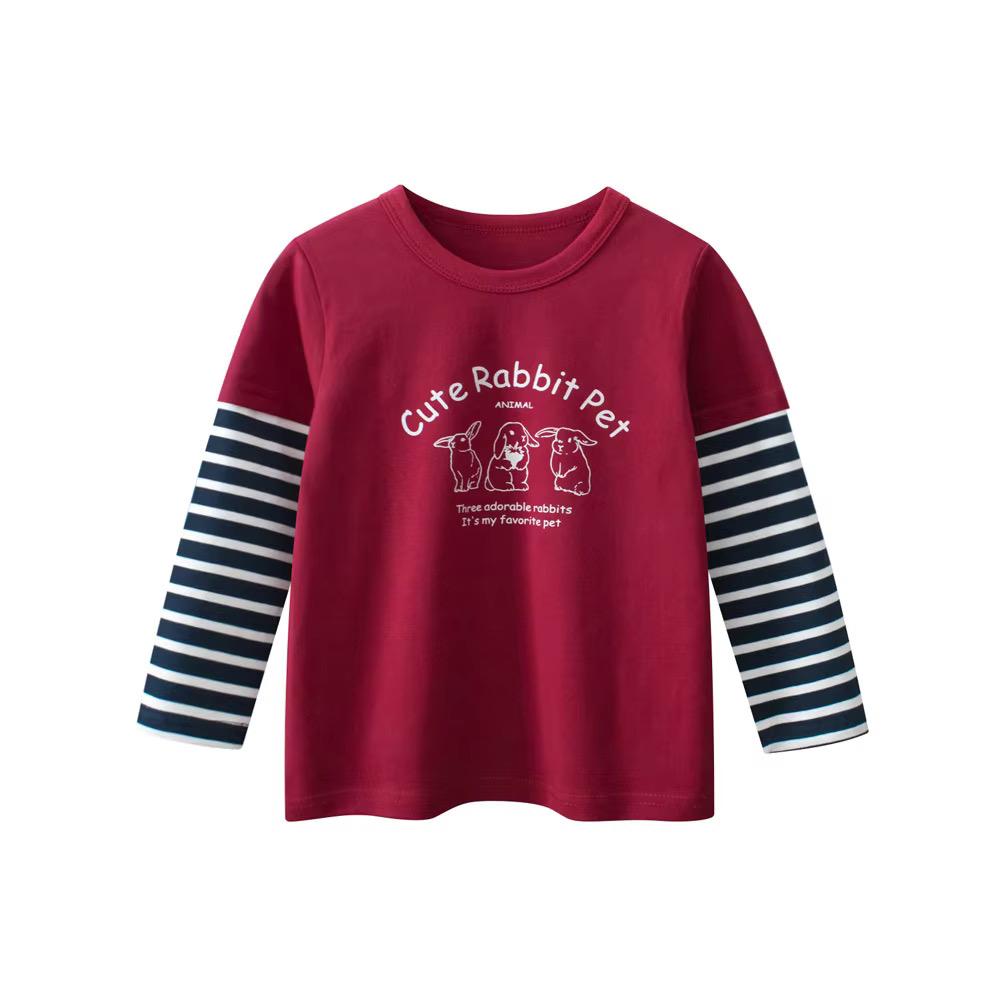 REMERA MANGA LARGA ESTAMPADA #HT3158
